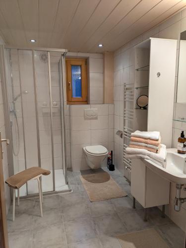 a bathroom with a toilet and a shower and a sink at Haus Walch in Pettneu am Arlberg
