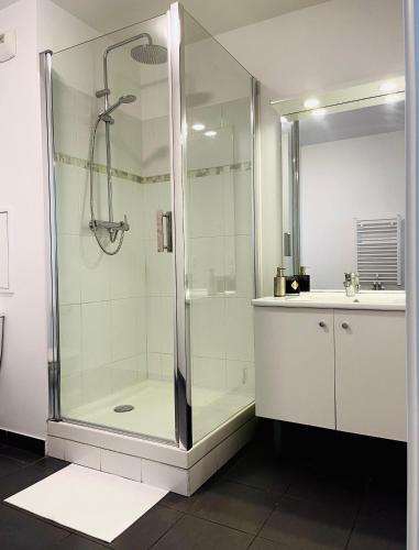 un bagno con doccia e lavandino di T2 avec Parking, 7min Paris & Stade France a Saint-Denis
