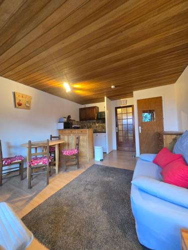 - un salon avec un canapé et un plafond en bois dans l'établissement Les Brimbelles 27 studio au pied du télémix de Belle Étoile, à Les Deux Alpes