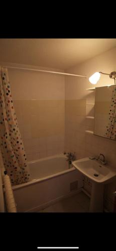 une salle de bain avec une baignoire et un lavabo dans l'établissement Studio aux pied des pistes, à Allevard