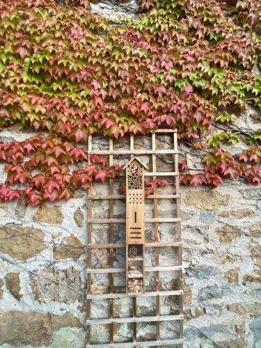 a ladder in front of a ivy covered wall at Les Caselles, Gîte et Chambre d'hôtes in Saint-Beauzély