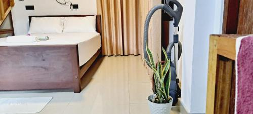 une chambre avec un lit et une plante en pot dans l'établissement Migela Restaurant & Rooms, à Walliwala East