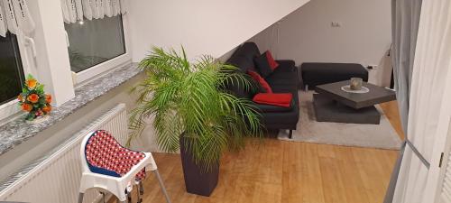 a living room with a black couch and a plant at Ferienwohnung-Vetter in Bodelshausen
