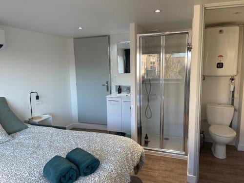 - une chambre avec un lit, une douche et des toilettes dans l'établissement L'Olivier - Joli duplex au cœur du centre ville à 2 pas de la Rotonde Mirabeau et des allées Provençales, à Aix-en-Provence