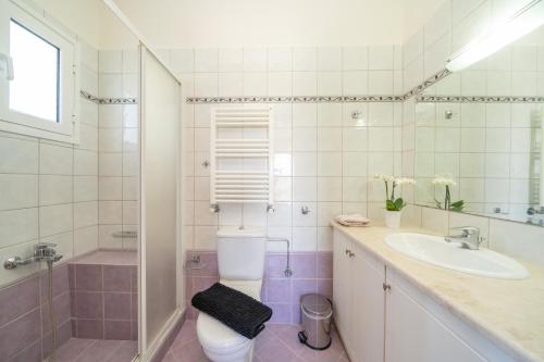 a bathroom with a toilet and a sink and a shower at Eglina Celeste Villa in Minia