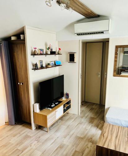 Televiisor ja/või meelelahutuskeskus majutusasutuses Mobil home