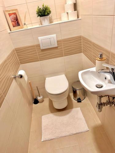 Csatangoló Lovas Apartman Goldにあるバスルーム