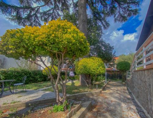 a tree in a park next to a building at Le Oreadi in Agerola