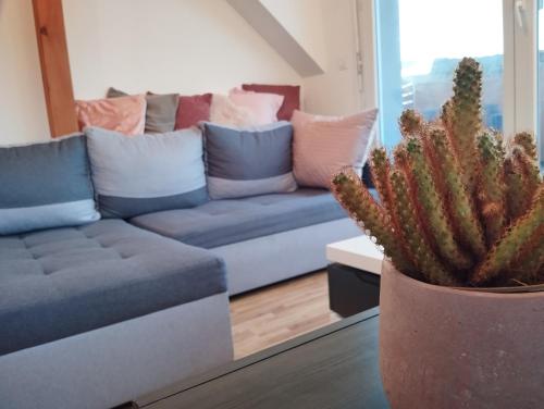 a living room with a couch and a cactus at Escapade cosy dans T2 lumineux, proche Colmar in Horbourg