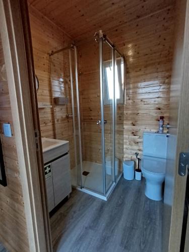 a bathroom with a shower and a sink and a toilet at Catshouse in Carqueja