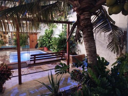 a courtyard with a palm tree and a swimming pool at HOSTAL LA BOQUILLA in Cartagena de Indias