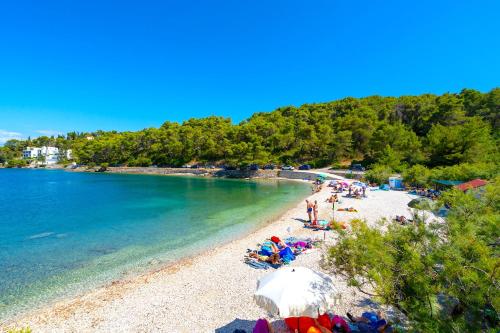 Příroda nedaleko vily