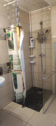 a shower with a glass door in a bathroom at Au doux Tamarin des hauts in Le Tampon