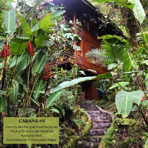 a path leading to a building in a garden at Los Quetzales Ecolodge & Spa in Cerro Punta
