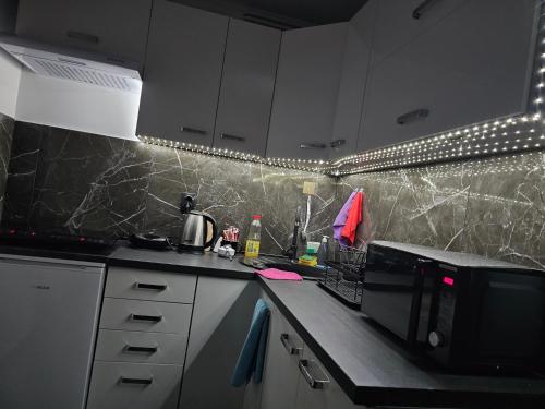a kitchen with a counter top with a microwave at ENA 1&2 -BIG FREE PRIVAT parking for BOATS, TRUCKs, combi,-CENTRAL HEATING !!! in Karlovac