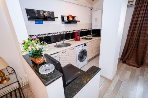 a kitchen with a washing machine and a sink at Studio Clasic in Galaţi