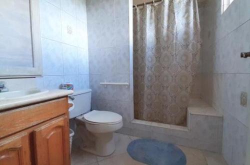 un bagno con wc, doccia e lavandino di Pondbottom Apartment #7 a Saint James
