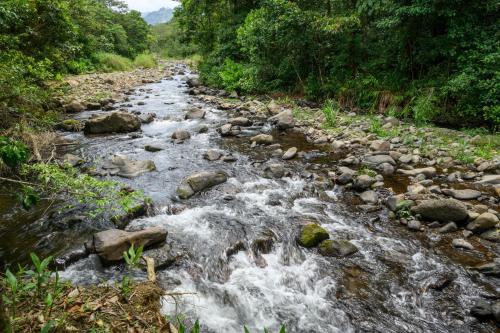 Un paisaje natural cerca del lodge
