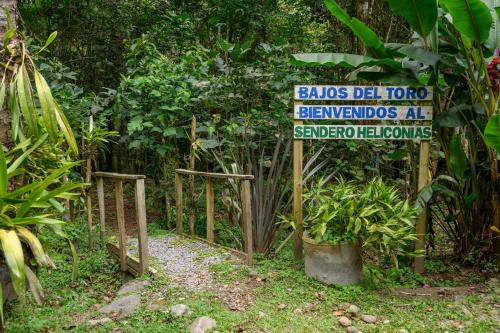 Un jardín fuera de Blue Morpho Lodge