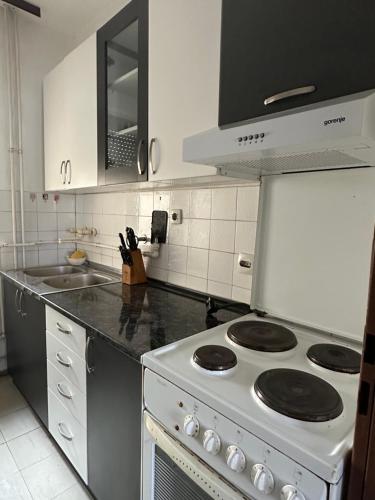a kitchen with a white stove and a sink at Apartment Crystal in Belgrade