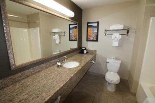 a bathroom with a sink and a toilet and a mirror at C'mon Inn Missoula in Missoula