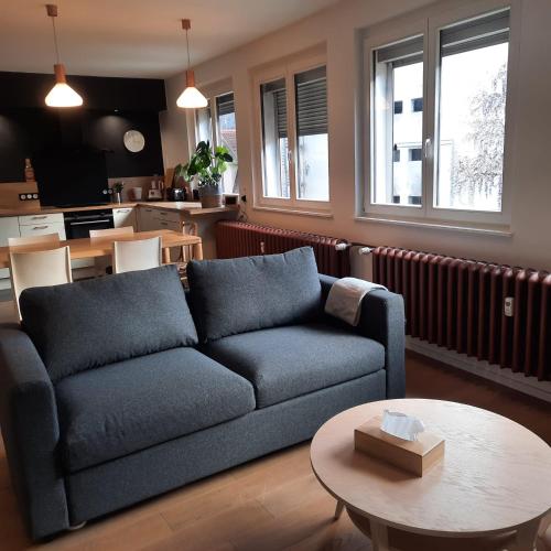 un salon avec un canapé et une table dans l'établissement Hyper Centre- Hyper Calme, à Strasbourg