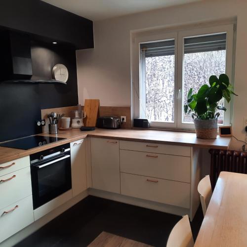 une cuisine avec des armoires blanches et une plante en pot sur le comptoir dans l'établissement Hyper Centre- Hyper Calme, à Strasbourg