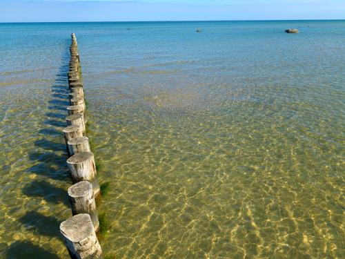 a wooden post sticking out of the water at Appartement am Yachthafen in Insel Poel