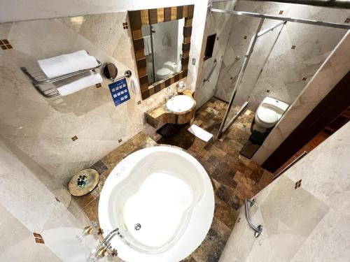 a bathroom with a toilet and a mirror at Tequendama Hotel Campestre Villavicencio in Villavicencio