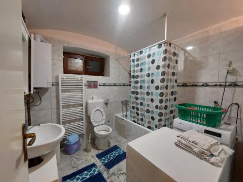 un bagno con lavandino e WC di Apartment Splitska a Sarajevo