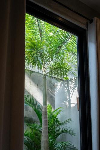 a palm tree is seen through a window at Witari Hotel Boutique in San Francisco