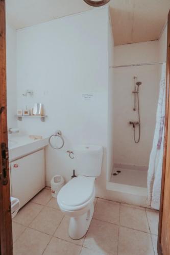 une salle de bain avec toilettes, lavabo et douche dans l'établissement Le Moulin Barbotte La convivialité en pleine nature, à Nesle-la-Reposte