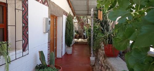 Κήπος έξω από το Homestay Pumagui