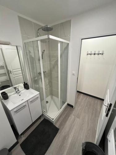 une salle de bain avec douche et lavabo dans l'établissement résidence Nassau3 F2 2eme étage, à Beauvais