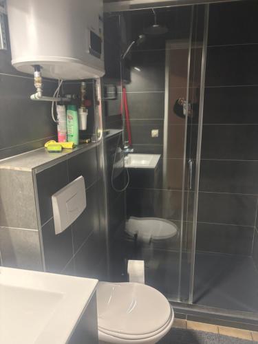 Photo de la galerie de l'établissement Appartement Duplex T1, à Albertville