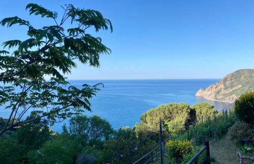 a view of the ocean from a hill at Villa Pietrafiore in Monterosso al Mare