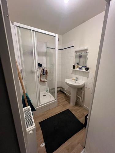 La petite salle de bains est pourvue d'une douche et d'un lavabo. dans l'établissement Appartement Cosy rive gauche, à Rouen