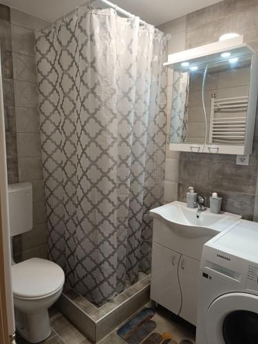 Koupelna v ubytování Luksuzni Apartman Ema 2