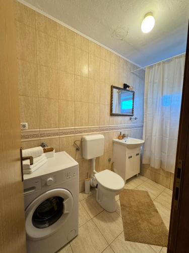 GrudeにあるApartman Alpezaのバスルーム(洗濯機、トイレ付)