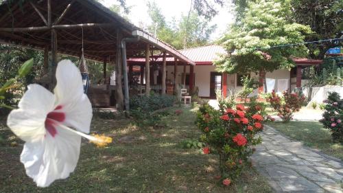Κήπος έξω από το Casa Todo Bueno