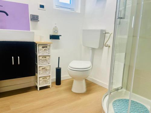 a bathroom with a toilet and a shower at B&B in fattoria in Rivalta di Torino