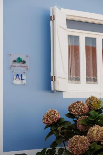a blue wall with a window and a plant at Casa da Courela in Nordeste