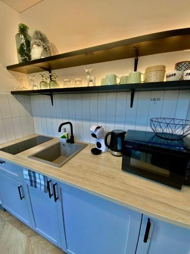 a kitchen with a sink and a counter top at Salt Garden Superior double rooms in Druskininkai