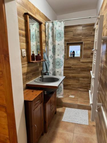 a bathroom with a sink and a shower at White Party House in Veľké Kosihy