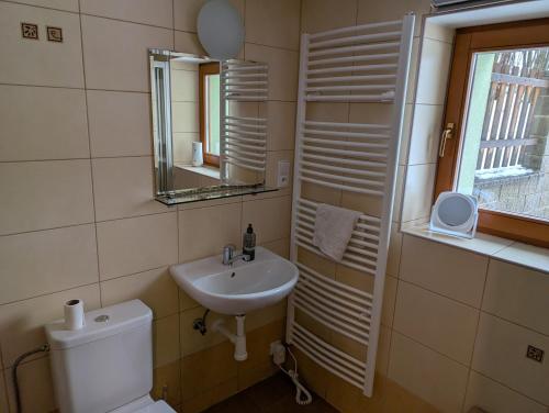 a bathroom with a sink and a toilet and a mirror at Chalupa Pod Bukovou horou in Smržovka
