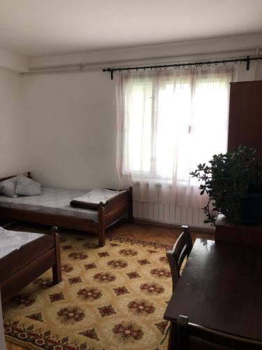 a living room with two beds and a window at Privatni smeštaj Sobe Branković in Gornja Toplica