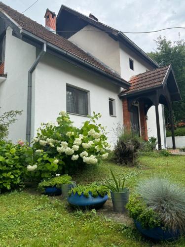 a house with some plants in front of it at Privatni smeštaj Sobe Branković in Gornja Toplica