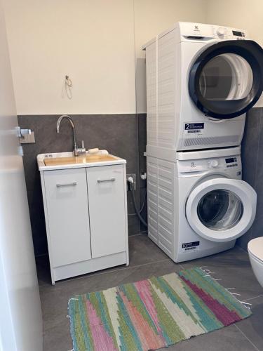 a washing machine and a sink in a bathroom at Casa Delfina in Grosotto