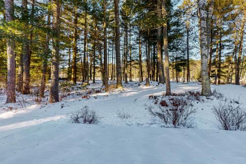 a snow covered forest with trees in the background at Seasons Pass in Eagle River