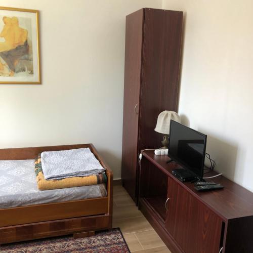 a bedroom with a bed and a desk with a television at Privatni smeštaj Sobe Branković in Gornja Toplica